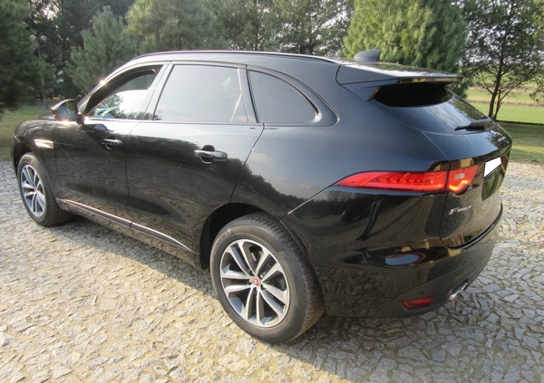 Jaguar F-Pace cena 84500 przebieg: 124677, rok produkcji 2016 z Rypin małe 67